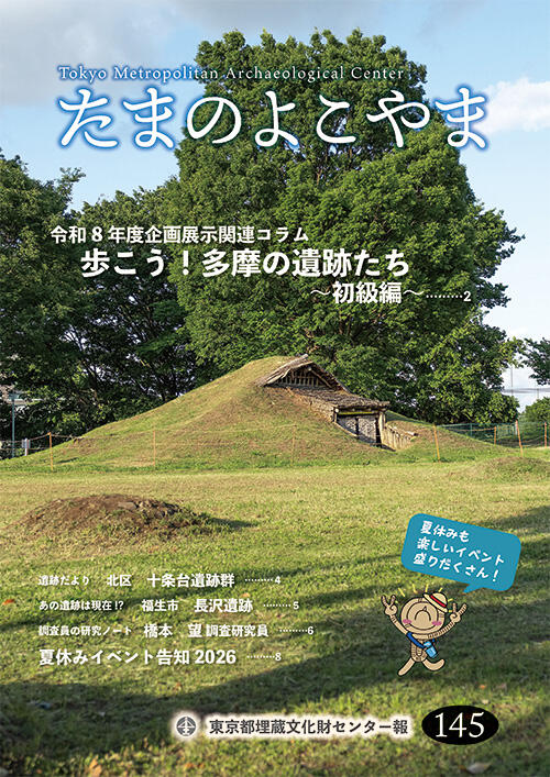 たまのよこやま