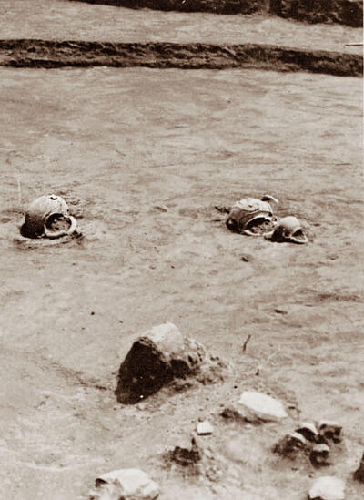 出土状況写真.jpg
