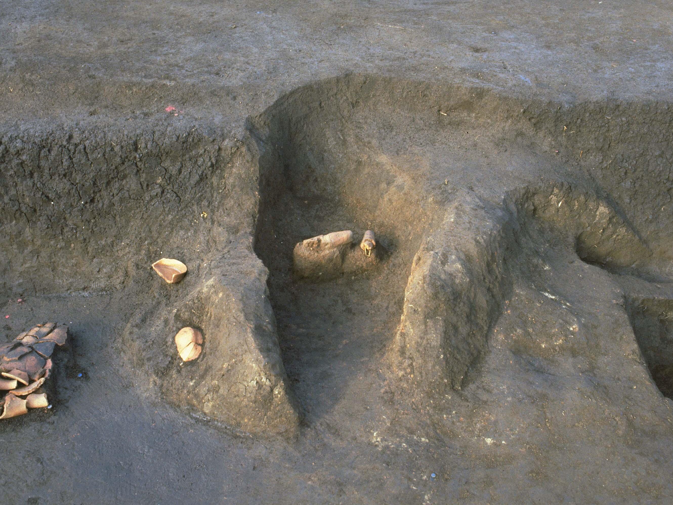調査研究員講演会(2) 「古代・多摩丘陵の竪穴建物」2